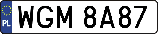WGM8A87