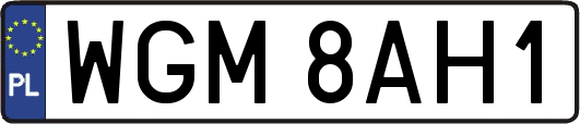 WGM8AH1