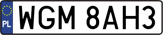 WGM8AH3