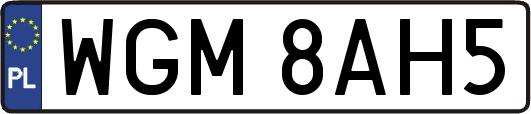 WGM8AH5