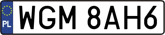 WGM8AH6
