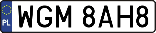 WGM8AH8
