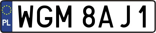 WGM8AJ1