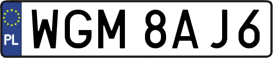 WGM8AJ6