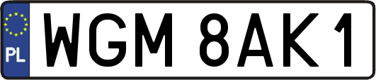 WGM8AK1