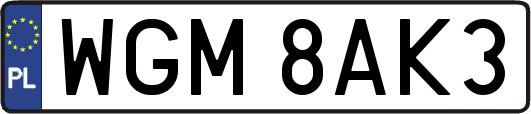 WGM8AK3