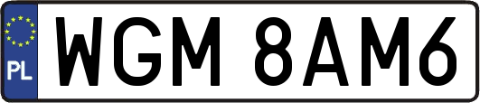 WGM8AM6