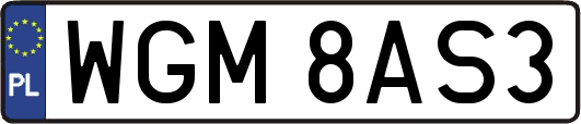 WGM8AS3