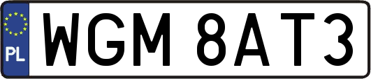 WGM8AT3