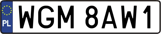 WGM8AW1