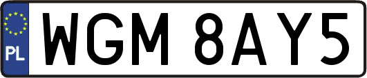 WGM8AY5