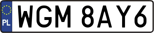 WGM8AY6