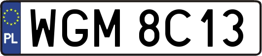 WGM8C13