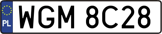 WGM8C28