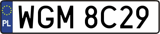 WGM8C29