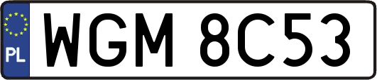 WGM8C53