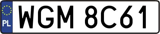 WGM8C61