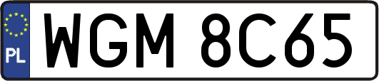 WGM8C65