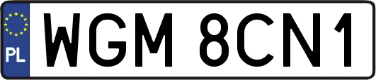 WGM8CN1