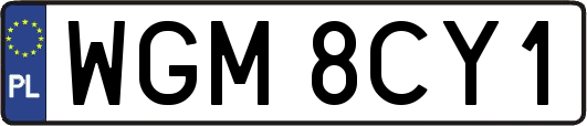 WGM8CY1
