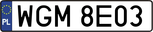 WGM8E03