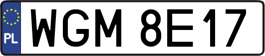 WGM8E17