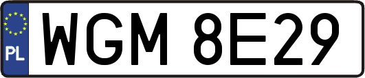 WGM8E29