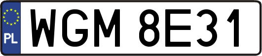 WGM8E31