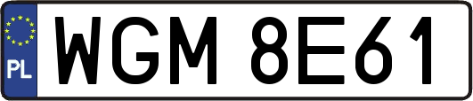 WGM8E61