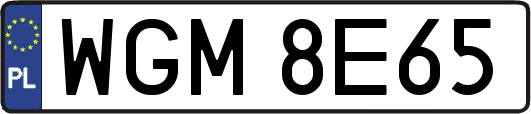 WGM8E65