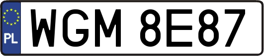 WGM8E87