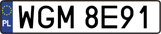 WGM8E91