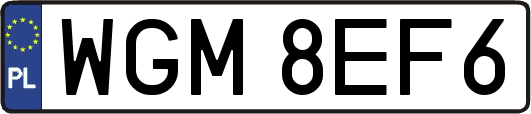 WGM8EF6