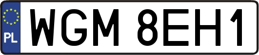 WGM8EH1