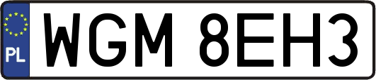 WGM8EH3