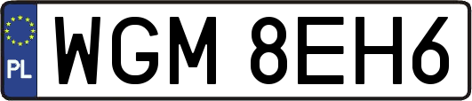 WGM8EH6