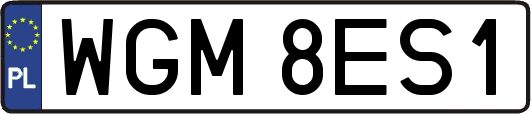 WGM8ES1
