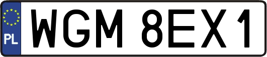 WGM8EX1