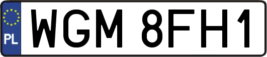 WGM8FH1