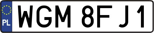 WGM8FJ1