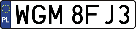 WGM8FJ3