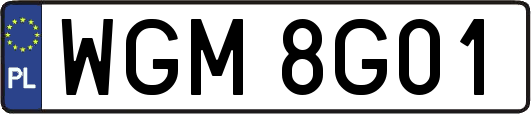 WGM8G01