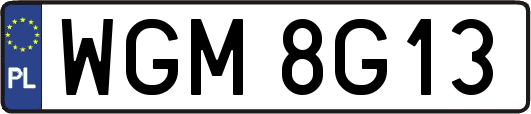 WGM8G13