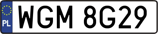 WGM8G29