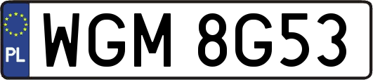 WGM8G53