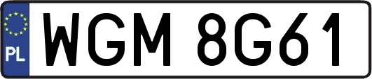 WGM8G61