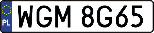 WGM8G65