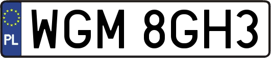 WGM8GH3