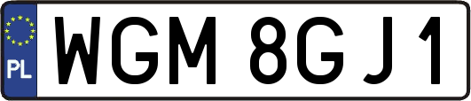 WGM8GJ1