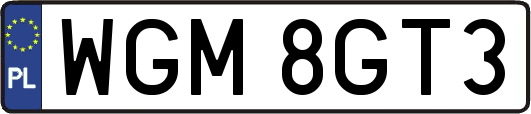 WGM8GT3